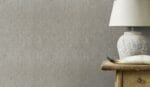 Curiosity 538335 - Image 4